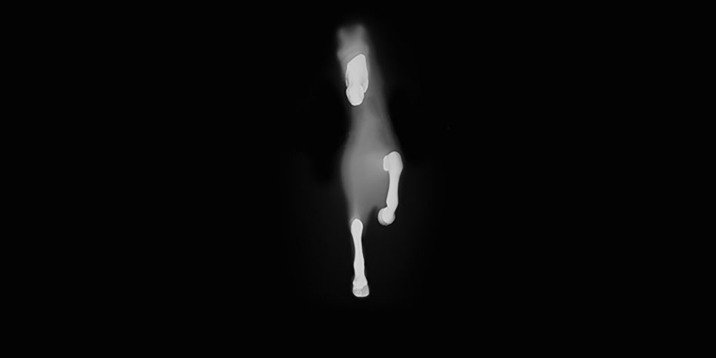 Nothing But Thieves to support Muse on tour